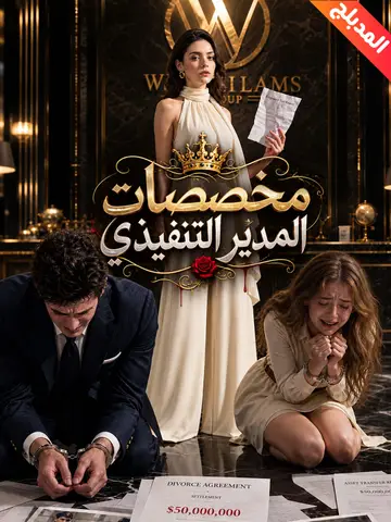 مخصصات المدير التنفيذي